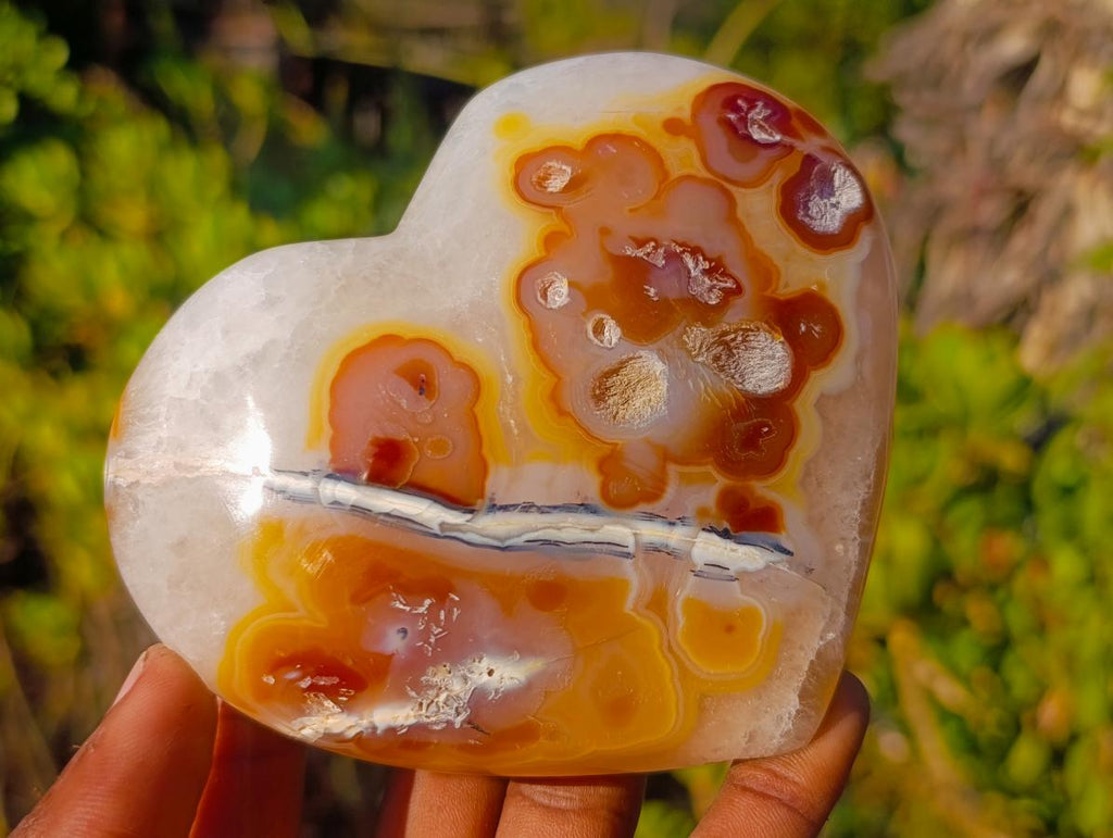 Polished Large Lemur Island Carnelian Agate Crystalline Hearts x 6 From Nosy Varika, Madagascar - Toprock Gemstones and Minerals 