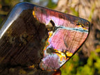 Polished Spectrolite Labradorite Standing Display Pieces x 2 From Madagascar