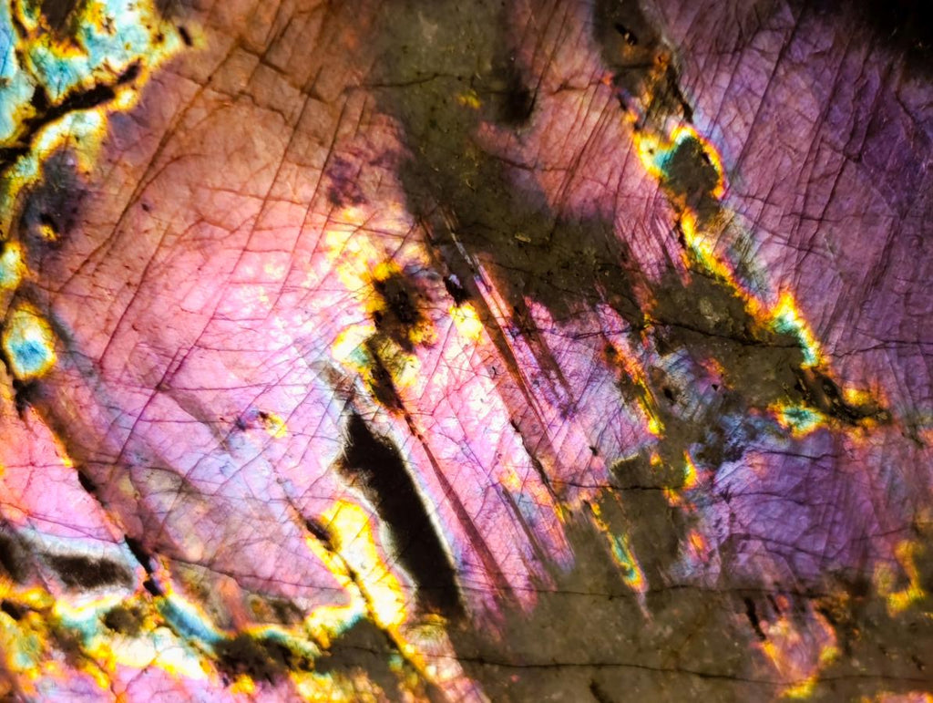 Polished Spectrolite Labradorite Standing Display Pieces x 2 From Madagascar