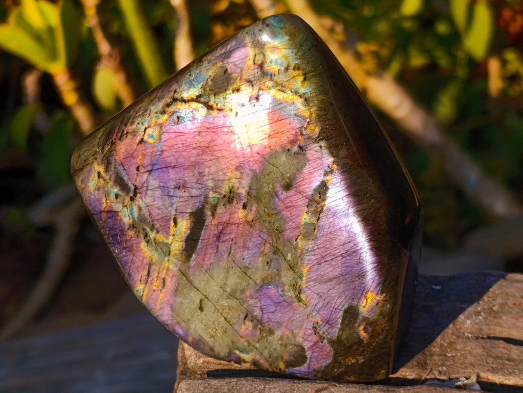 Polished Spectrolite Labradorite Standing Display Pieces x 2 From Madagascar