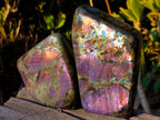 Polished Spectrolite Labradorite Standing Display Pieces x 2 From Madagascar