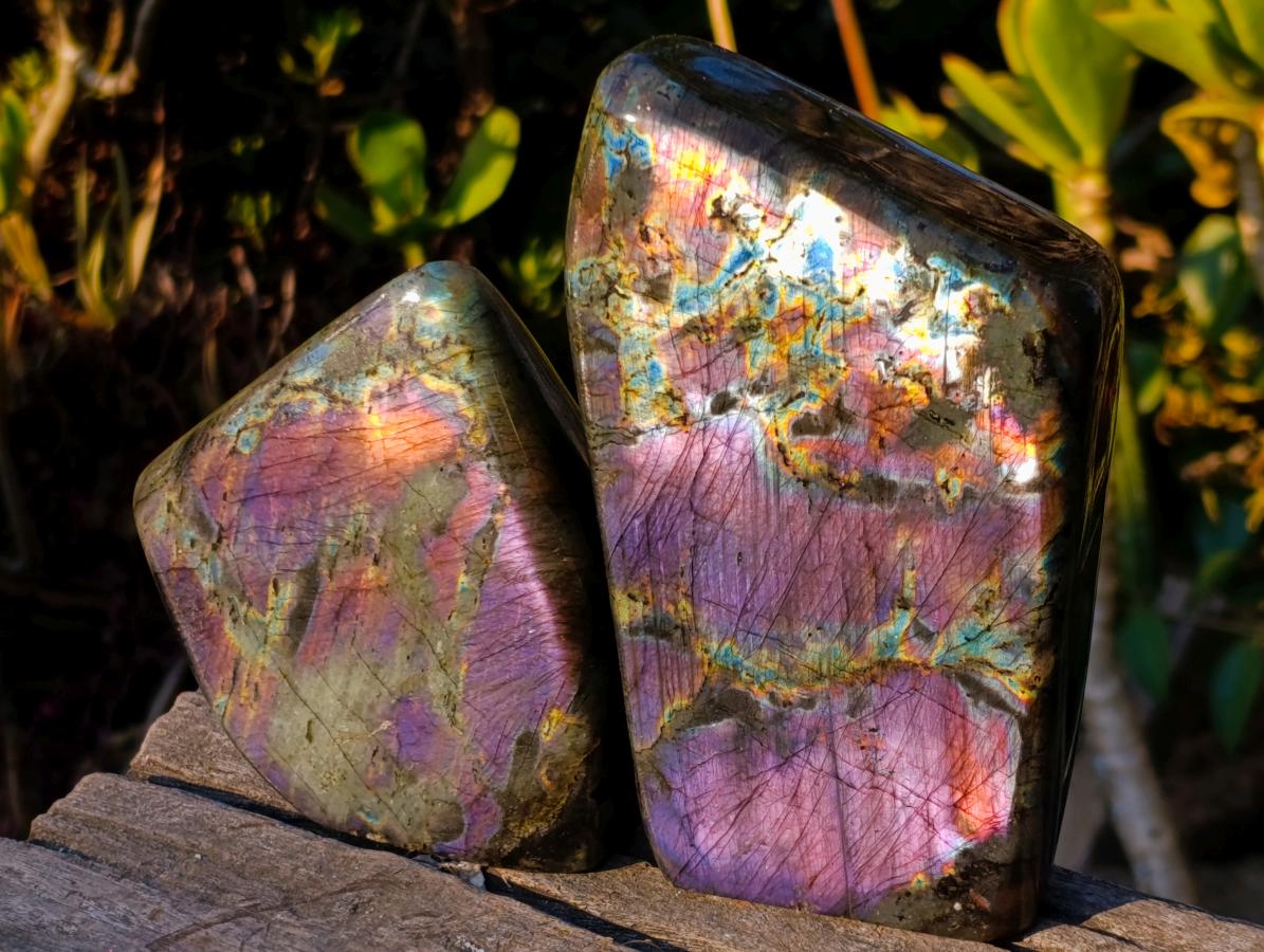 Polished Spectrolite Labradorite Standing Display Pieces x 2 From Madagascar
