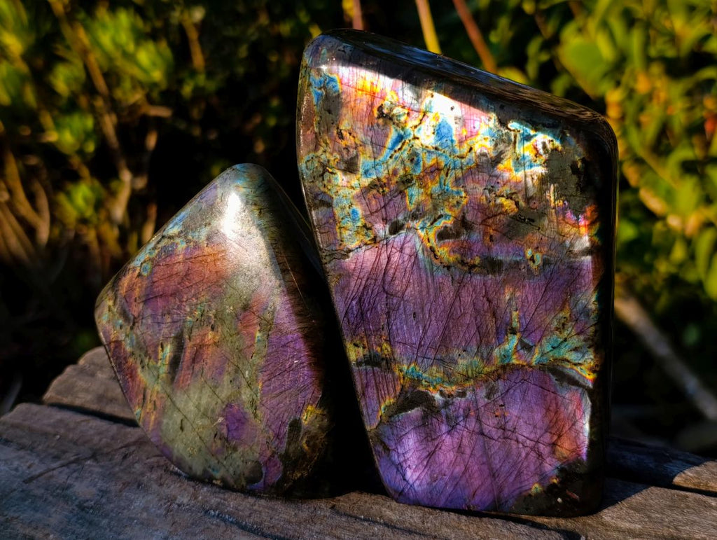 Polished Spectrolite Labradorite Standing Display Pieces x 2 From Madagascar