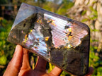 Polished Spectrolite Labradorite Standing Display Pieces x 2 From Madagascar