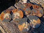 Polished Cleoniceras Ammonite Fossil Pairs with Pyrite x 3 pairs From Tulear, Madagascar