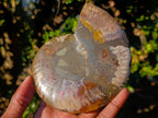 Polished Cleoniceras Ammonite Fossil Pairs with Pyrite x 3 pairs From Tulear, Madagascar - Toprock Gemstones and Minerals 