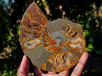 Polished Cleoniceras Ammonite Fossil Pairs with Pyrite x 3 pairs From Tulear, Madagascar - Toprock Gemstones and Minerals 