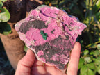 Natural Salrose Cobaltoan Dolomite Specimens x 13 From Kakanda, Congo - Toprock Gemstones and Minerals 