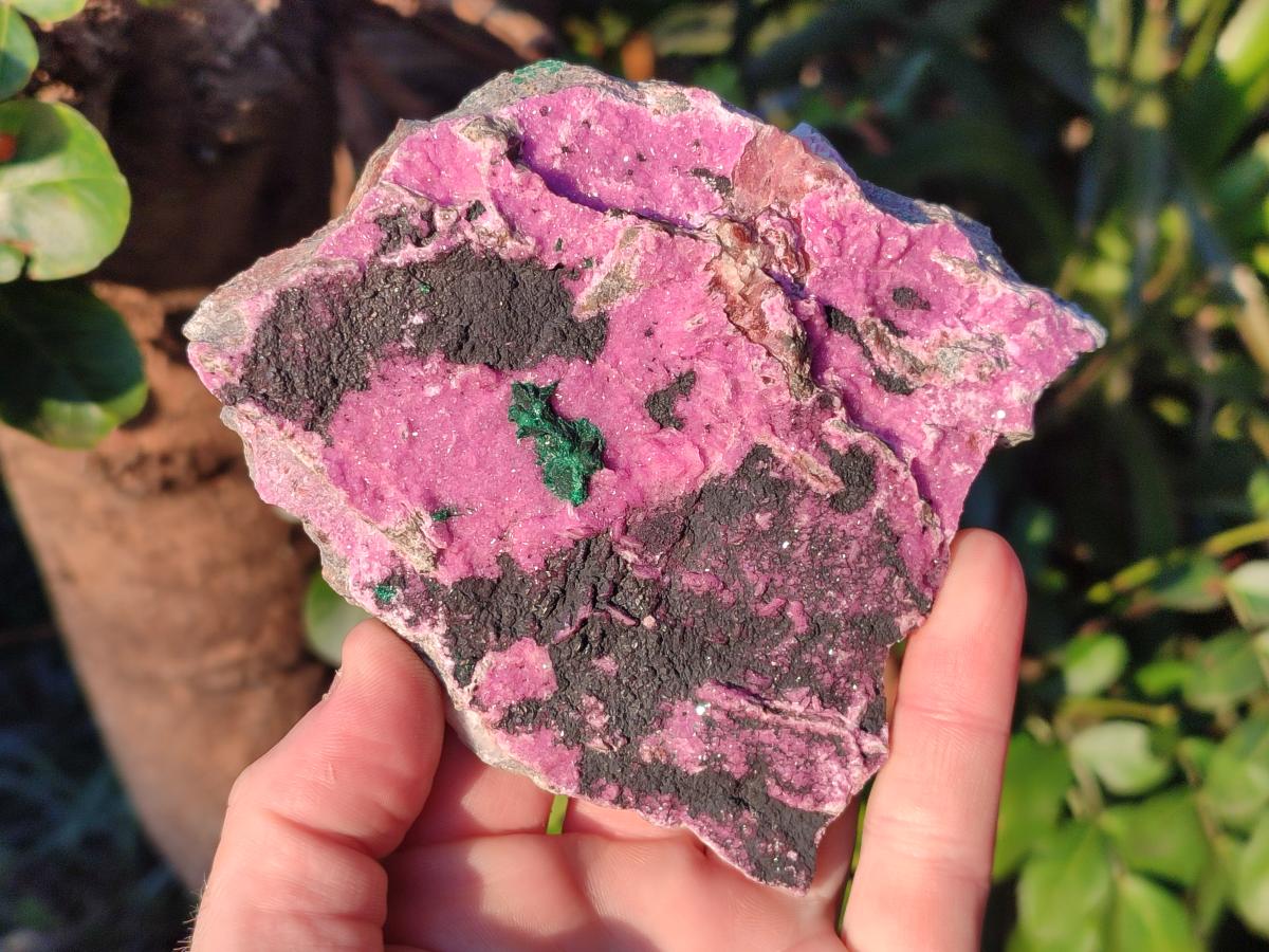 Natural Salrose Cobaltoan Dolomite Specimens x 13 From Kakanda, Congo - Toprock Gemstones and Minerals 