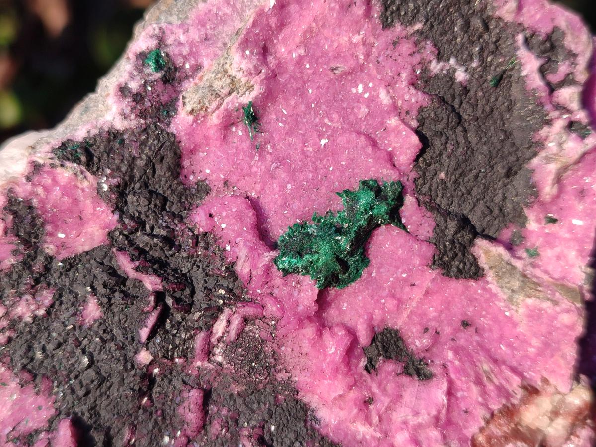 Natural Salrose Cobaltoan Dolomite Specimens x 13 From Kakanda, Congo - Toprock Gemstones and Minerals 
