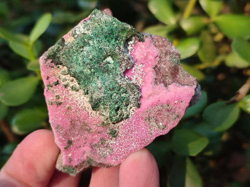 Natural Salrose Cobaltoan Dolomite Specimens x 13 From Kakanda, Congo - Toprock Gemstones and Minerals 
