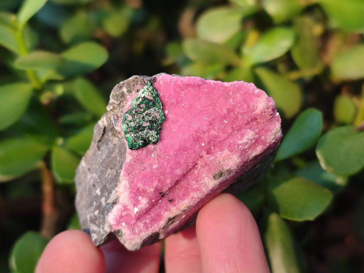 Natural Salrose Cobaltoan Dolomite Specimens x 13 From Kakanda, Congo - Toprock Gemstones and Minerals 