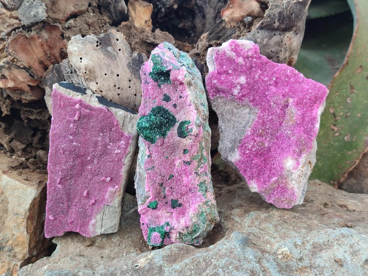 Natural Salrose Cobaltoan Dolomite Specimens x 13 From Kakanda, Congo - Toprock Gemstones and Minerals 