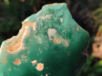 Polished on One Side Mtorolite Chrysoprase Slices x 12 From Mutorashanga, Zimbabwe - Toprock Gemstones and Minerals 