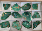 Polished on One Side Mtorolite Chrysoprase Slices x 12 From Mutorashanga, Zimbabwe - Toprock Gemstones and Minerals 