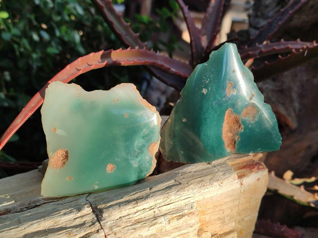 Polished on One Side Mtorolite Chrysoprase Slices x 12 From Mutorashanga, Zimbabwe - Toprock Gemstones and Minerals 