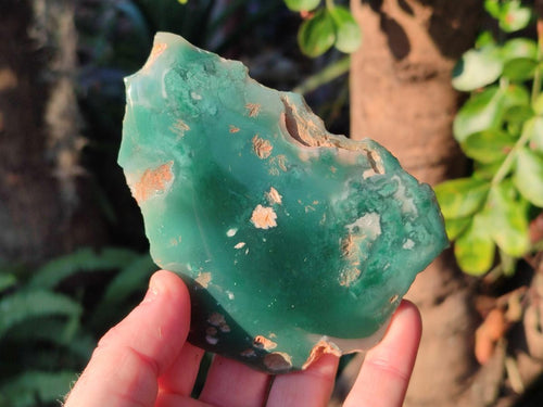 Polished on One Side Mtorolite Chrysoprase Slices x 12 From Mutorashanga, Zimbabwe - Toprock Gemstones and Minerals 