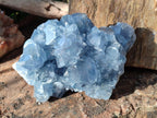 Natural Blue Celestite Specimens x 2 From Sakoany, Madagascar - Toprock Gemstones and Minerals 