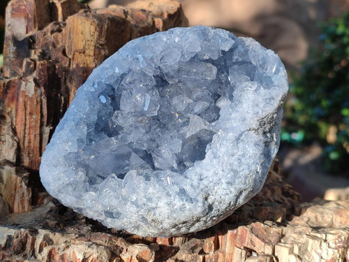 Natural Blue Celestite Specimens x 2 From Sakoany, Madagascar - Toprock Gemstones and Minerals 