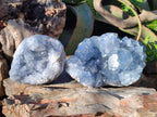 Natural Blue Celestite Specimens x 2 From Sakoany, Madagascar - Toprock Gemstones and Minerals 