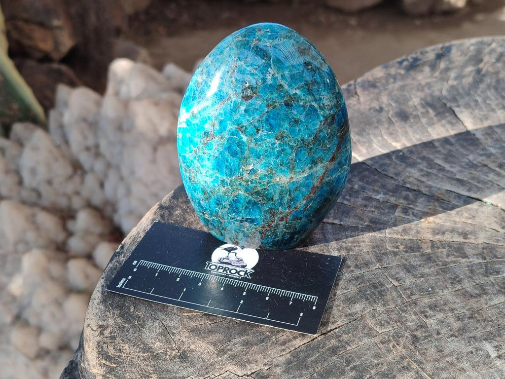 Polished Blue Apatite Standing Display Pieces x 3 From Betroka, Madagascar - Toprock Gemstones and Minerals 