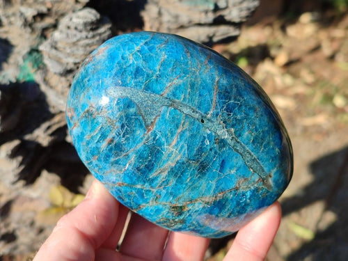Polished Blue Apatite Standing Display Pieces x 3 From Betroka, Madagascar - Toprock Gemstones and Minerals 