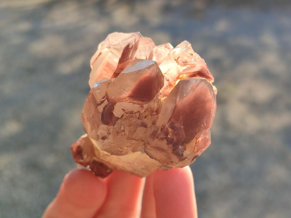 Natural Red Hematoid Quartz Crystals and Clusters x 12 From Karoi, Zimbabwe - Toprock Gemstones and Minerals 