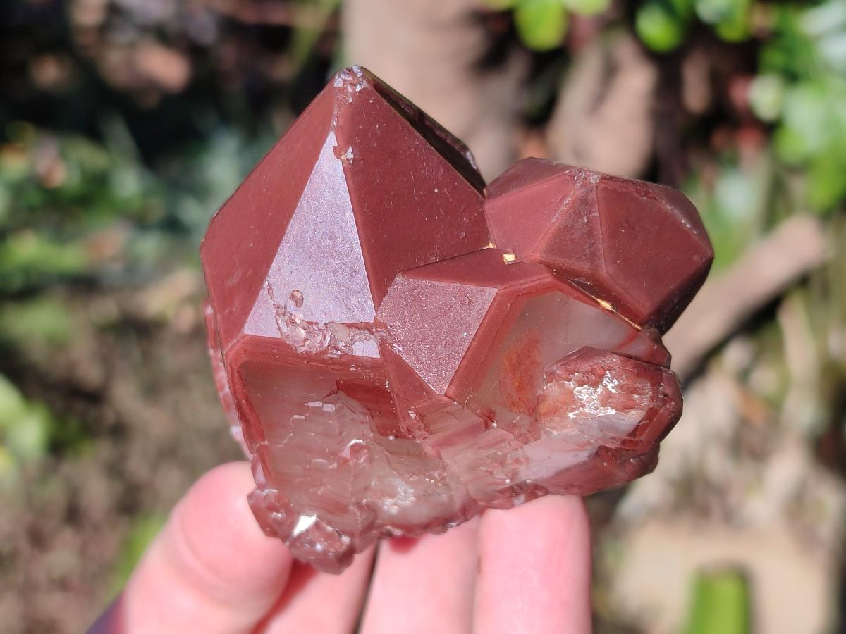 Natural Red Hematoid Quartz Crystals and Clusters x 12 From Karoi, Zimbabwe - Toprock Gemstones and Minerals 