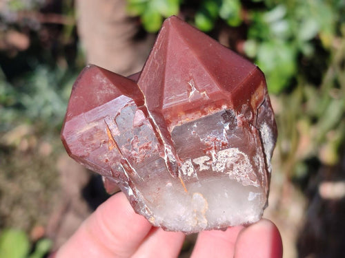 Natural Red Hematoid Quartz Crystals and Clusters x 12 From Karoi, Zimbabwe - Toprock Gemstones and Minerals 