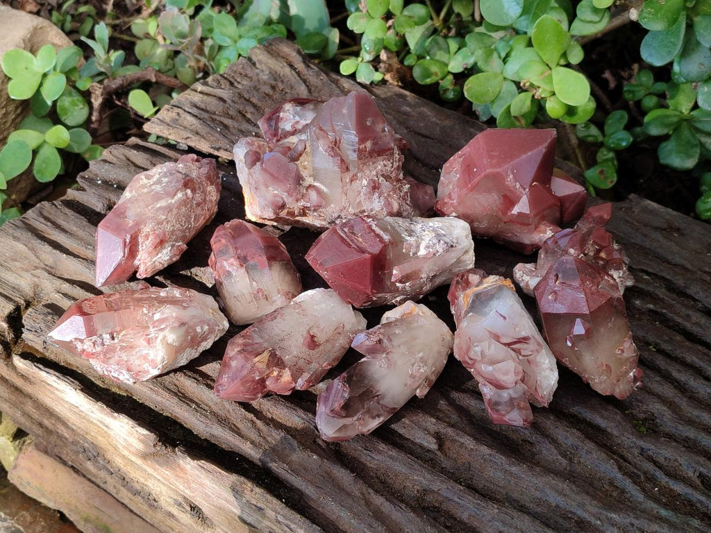 Natural Red Hematoid Quartz Crystals and Clusters x 12 From Karoi, Zimbabwe - Toprock Gemstones and Minerals 