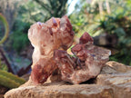 Natural Red Hematoid Quartz Crystals and Clusters x 12 From Karoi, Zimbabwe - Toprock Gemstones and Minerals 