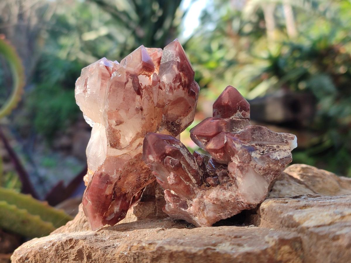 Natural Red Hematoid Quartz Crystals and Clusters x 12 From Karoi, Zimbabwe - Toprock Gemstones and Minerals 