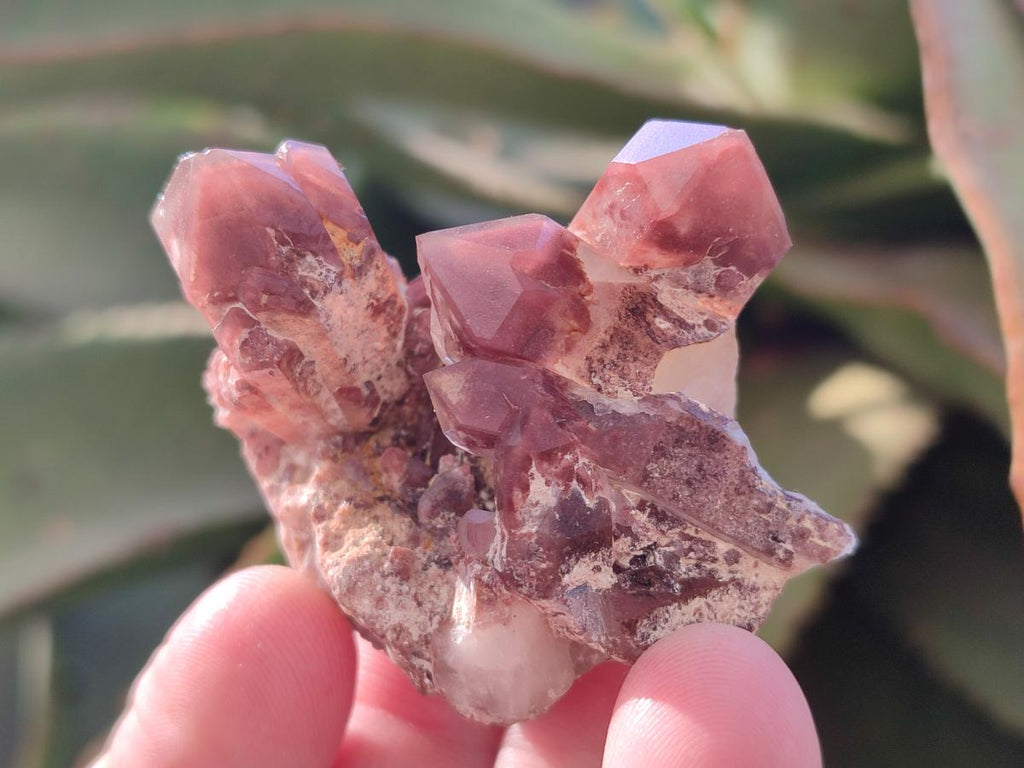 Natural Red Hematoid Quartz Crystals and Clusters x 12 From Karoi, Zimbabwe - Toprock Gemstones and Minerals 