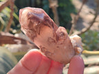 Natural Red Hematoid Quartz Crystals and Clusters x 12 From Karoi, Zimbabwe - Toprock Gemstones and Minerals 