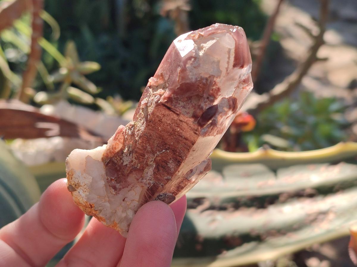 Natural Red Hematoid Quartz Crystals and Clusters x 12 From Karoi, Zimbabwe - Toprock Gemstones and Minerals 