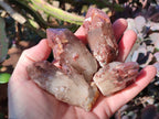 Natural Red Hematoid Quartz Crystals and Clusters x 12 From Karoi, Zimbabwe - Toprock Gemstones and Minerals 