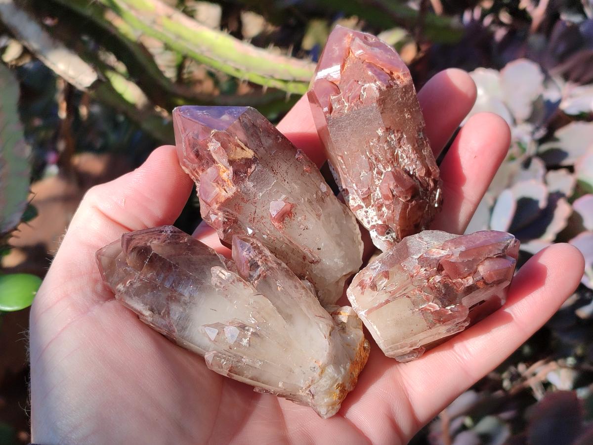Natural Red Hematoid Quartz Crystals and Clusters x 12 From Karoi, Zimbabwe - Toprock Gemstones and Minerals 