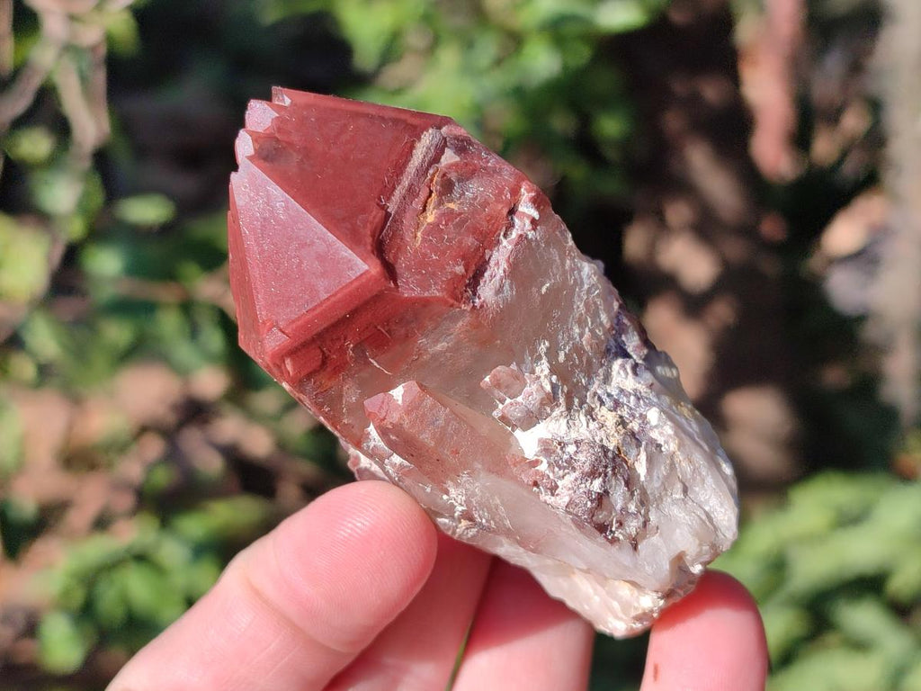 Natural Red Hematoid Quartz Crystals and Clusters x 12 From Karoi, Zimbabwe - Toprock Gemstones and Minerals 