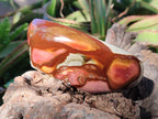 Polished Polychrome Jasper Bowls x 2 From NW Coast, Madagascar - Toprock Gemstones and Minerals 