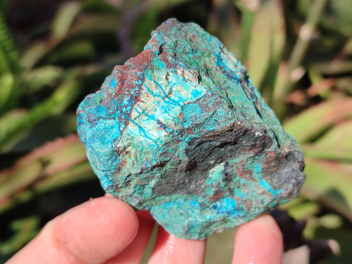 Natural Cobbed Shattuckite Specimens x 24 From Kaokoveld, Namibia - Toprock Gemstones and Minerals 