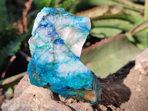 Natural Cobbed Shattuckite Specimens x 24 From Kaokoveld, Namibia - Toprock Gemstones and Minerals 