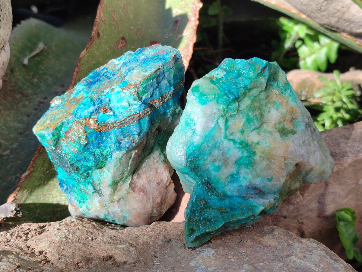 Natural Cobbed Shattuckite Specimens x 24 From Kaokoveld, Namibia - Toprock Gemstones and Minerals 