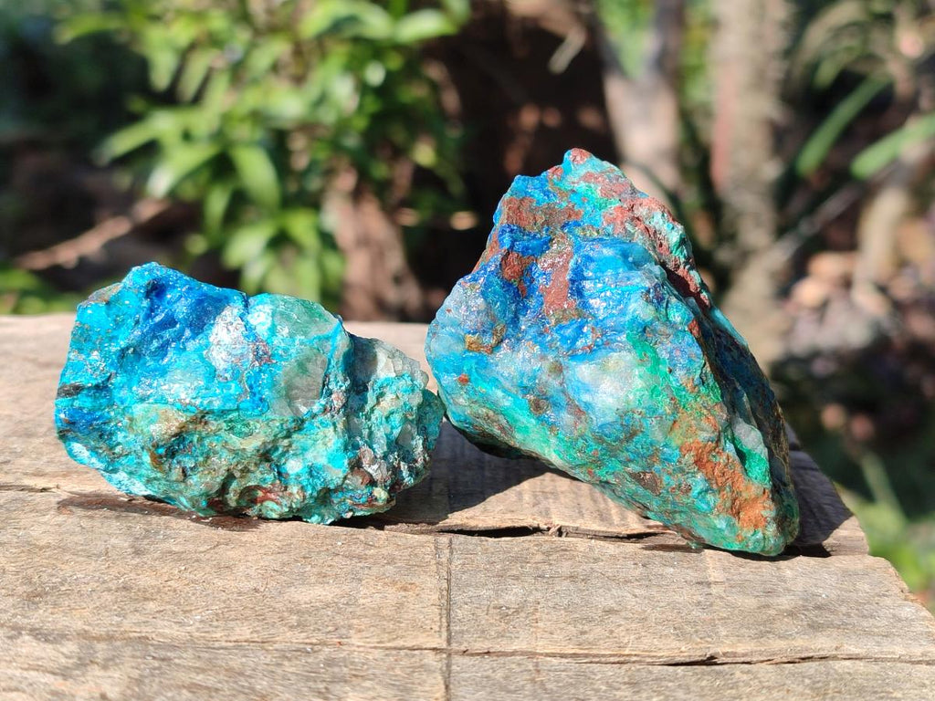 Natural Cobbed Shattuckite Specimens x 24 From Kaokoveld, Namibia - Toprock Gemstones and Minerals 