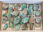 Natural Cobbed Shattuckite Specimens x 24 From Kaokoveld, Namibia - Toprock Gemstones and Minerals 