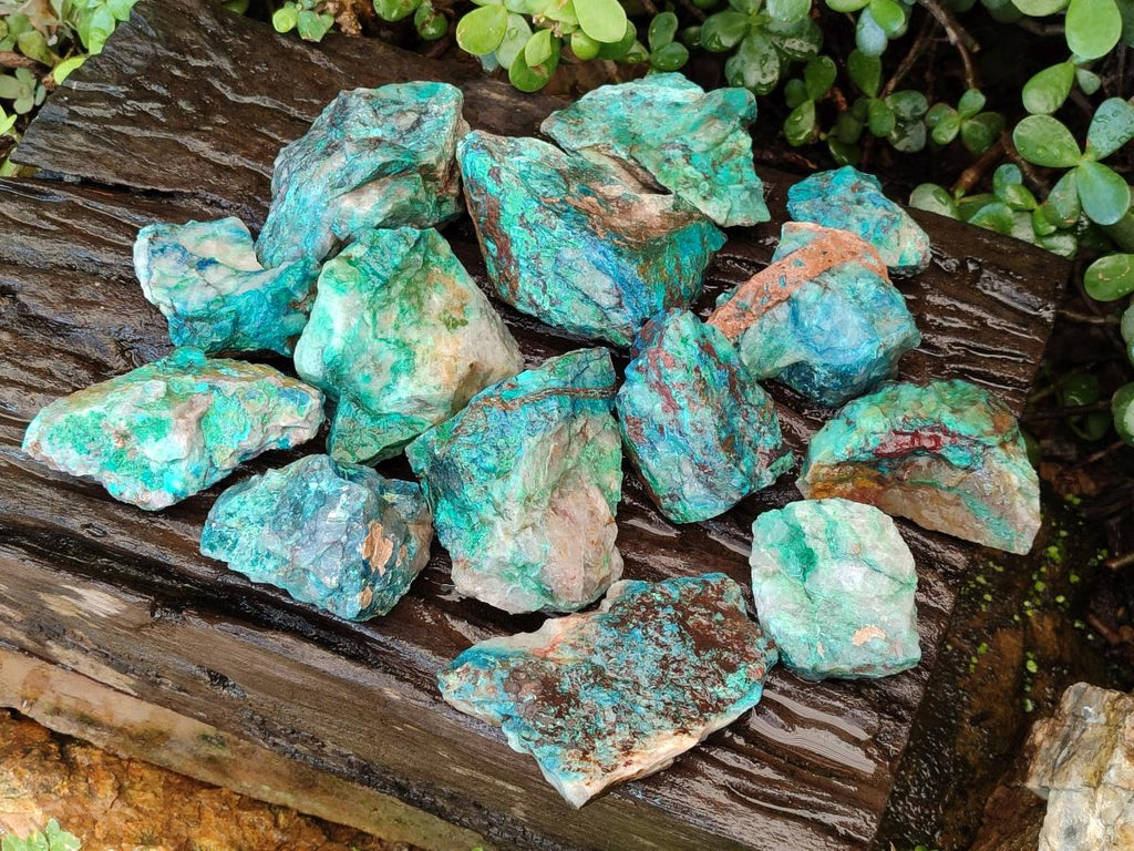 Natural Cobbed Shattuckite Specimens x 24 From Kaokoveld, Namibia - Toprock Gemstones and Minerals 