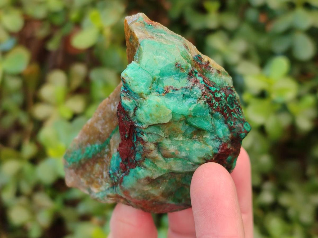 Natural Cobbed Shattuckite Specimens x 24 From Kaokoveld, Namibia - Toprock Gemstones and Minerals 
