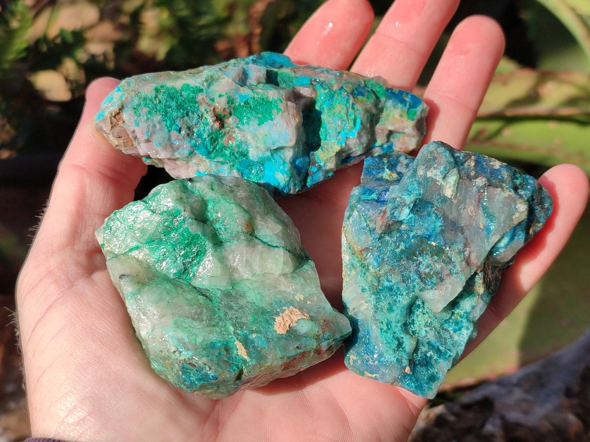 Natural Cobbed Shattuckite Specimens x 24 From Kaokoveld, Namibia - Toprock Gemstones and Minerals 