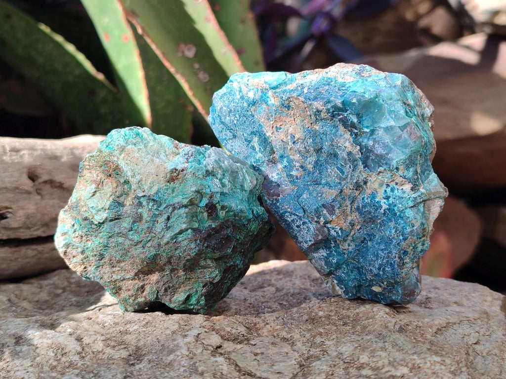 Natural Cobbed Shattuckite Specimens x 24 From Kaokoveld, Namibia - Toprock Gemstones and Minerals 