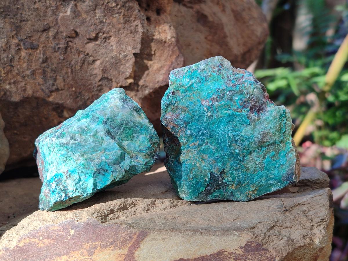 Natural Cobbed Shattuckite Specimens x 24 From Kaokoveld, Namibia - Toprock Gemstones and Minerals 