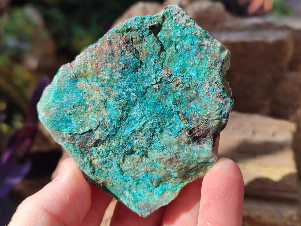 Natural Cobbed Shattuckite Specimens x 24 From Kaokoveld, Namibia - Toprock Gemstones and Minerals 